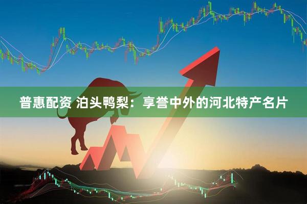 普惠配资 泊头鸭梨：享誉中外的河北特产名片