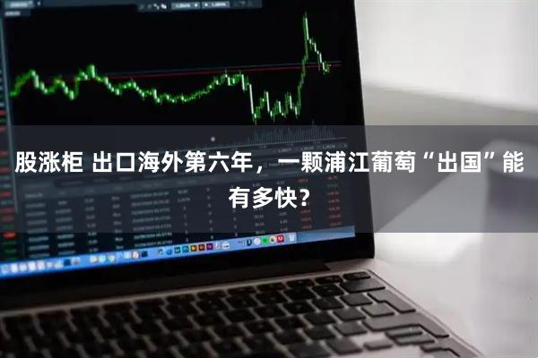 股涨柜 出口海外第六年，一颗浦江葡萄“出国”能有多快？