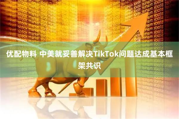 优配物料 中美就妥善解决TikTok问题达成基本框架共识