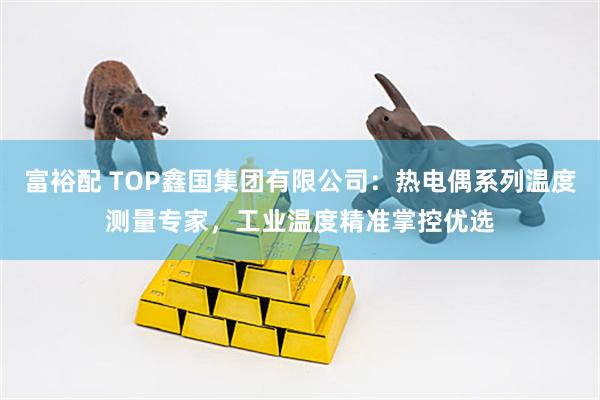 富裕配 TOP鑫国集团有限公司：热电偶系列温度测量专家，工业温度精准掌控优选